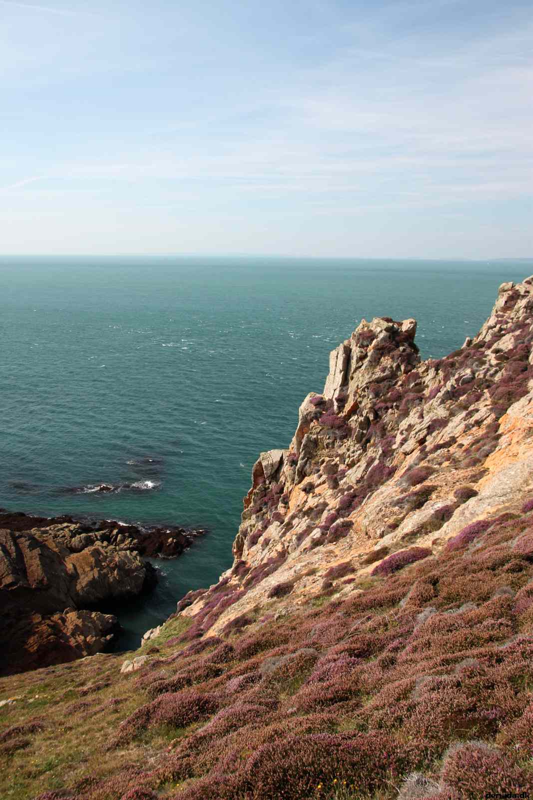* Image 56