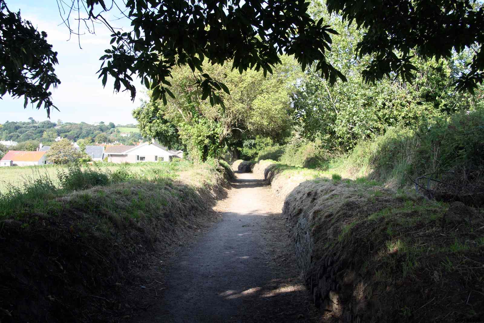* Image 1