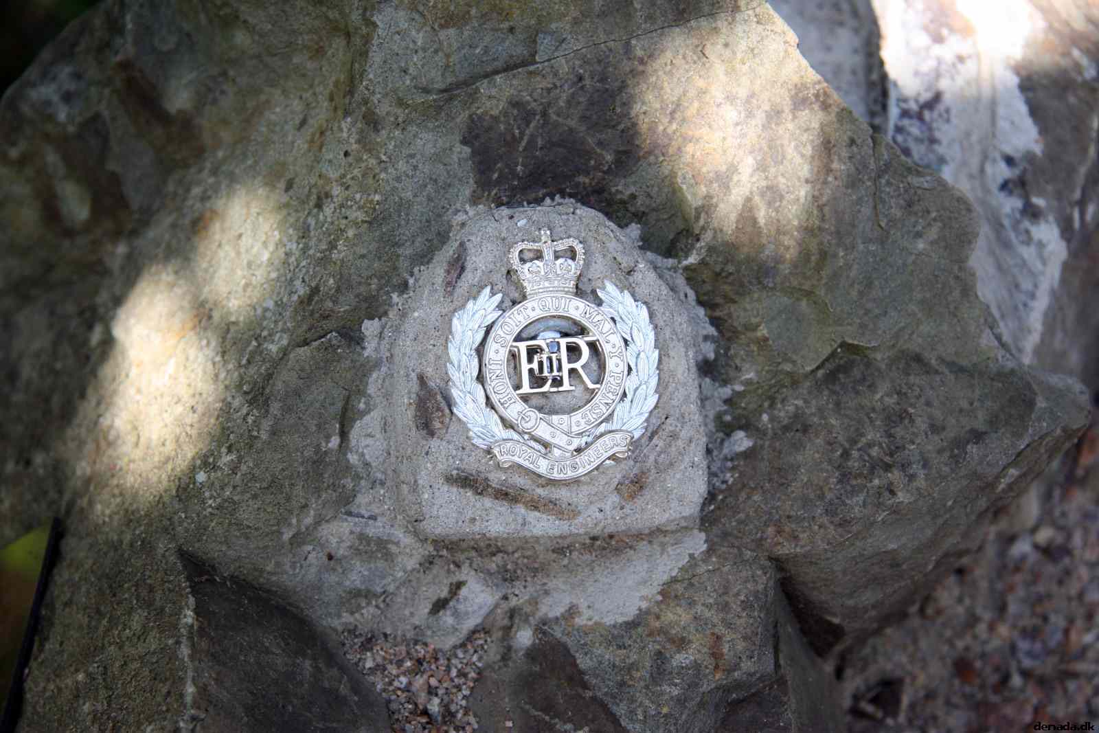 * Image 7