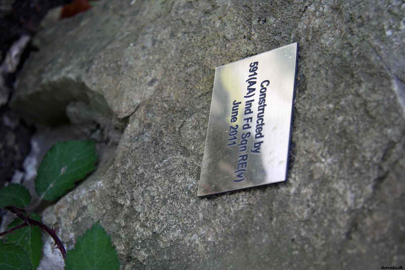 * Image 8