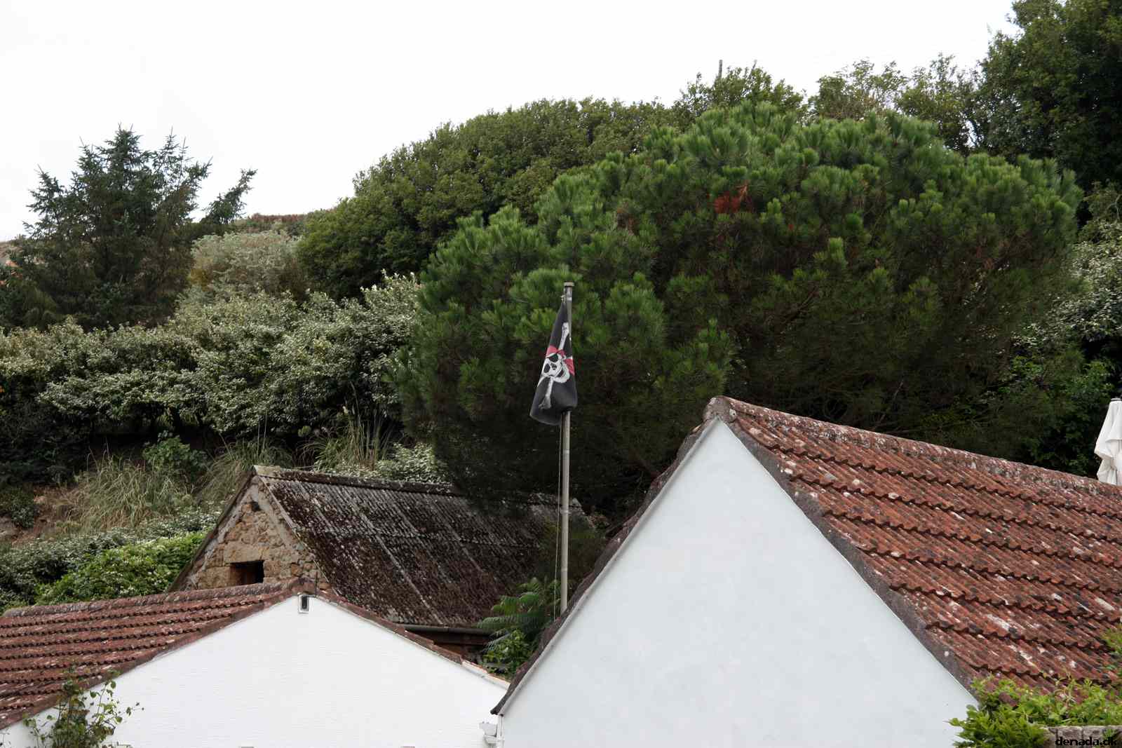 * Image 19