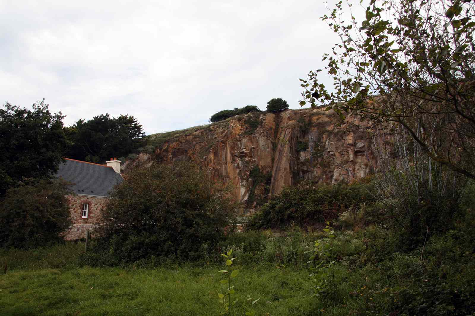 * Image 20