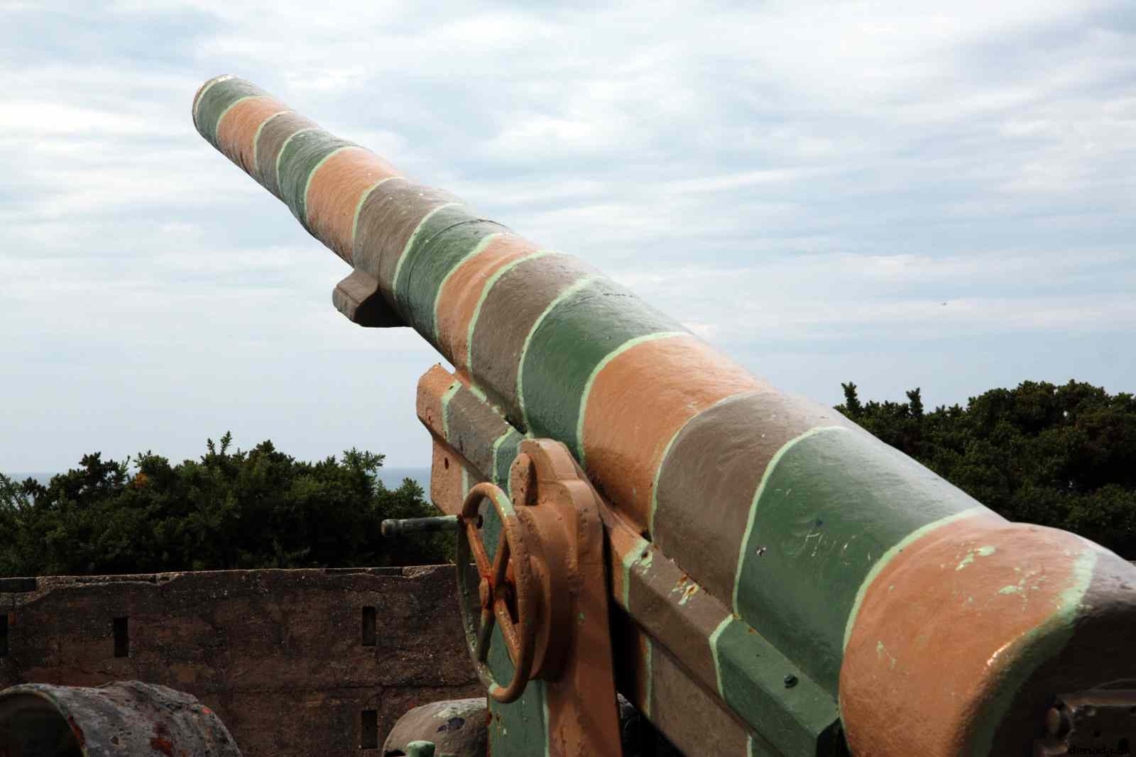 * Image 22