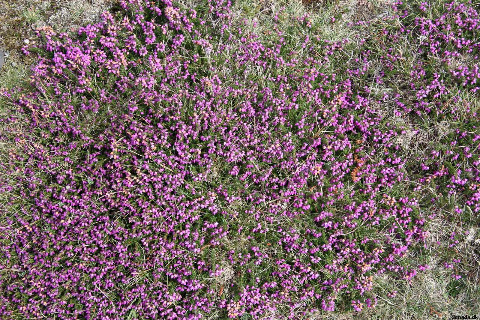 * Image 24