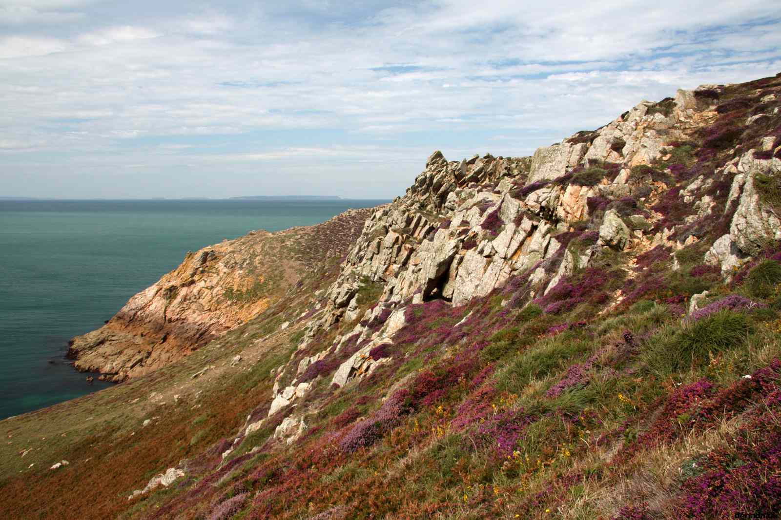 * Image 27