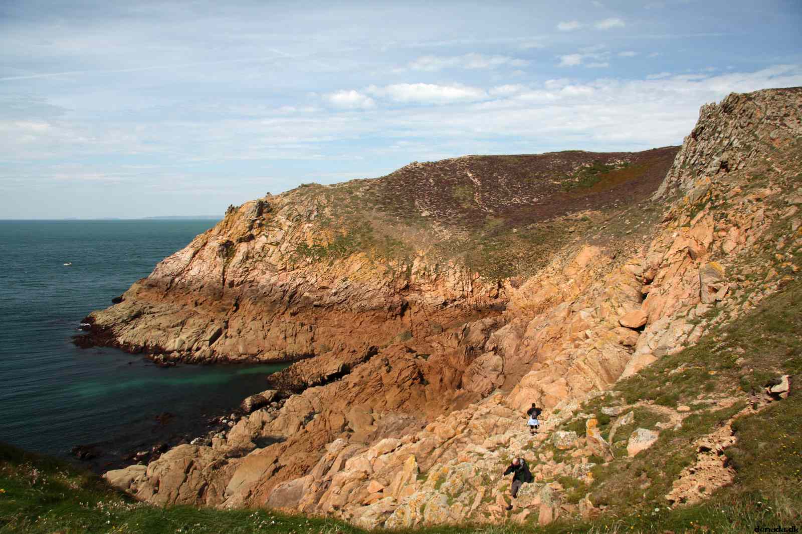 * Image 40