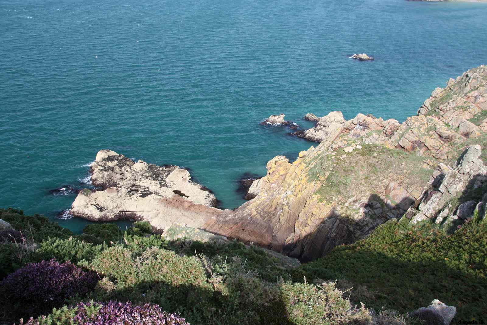 * Image 71