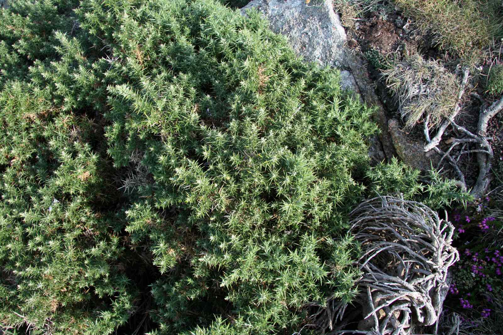 * Image 78
