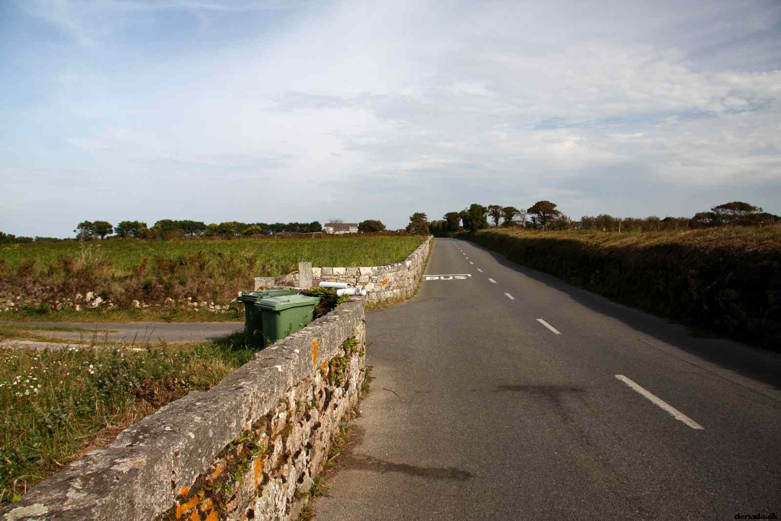 * Image 79