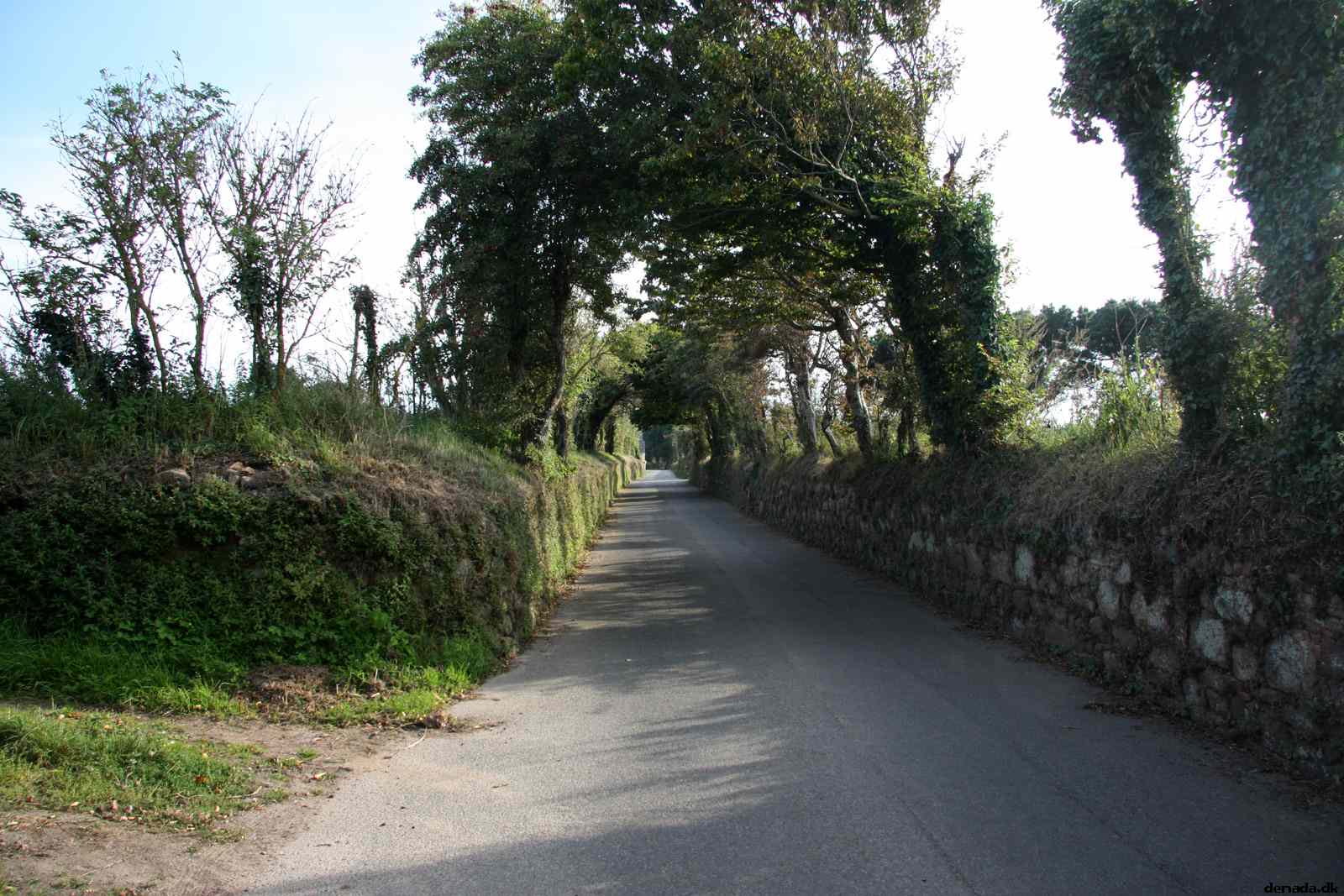 * Image 91