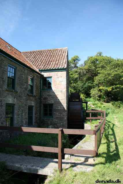 * Image 5
