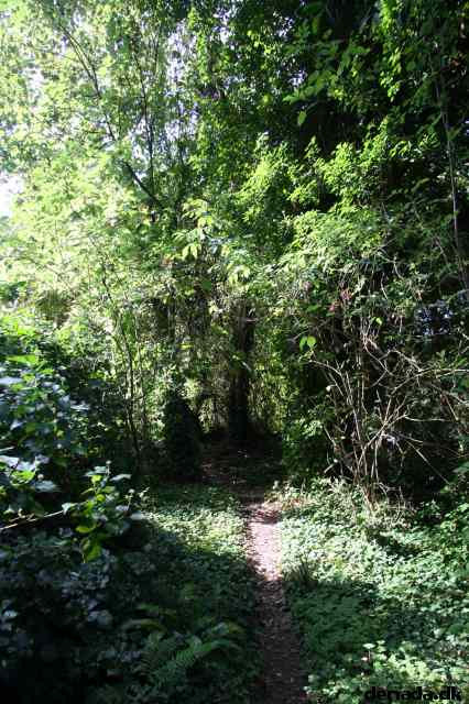 * Image 11