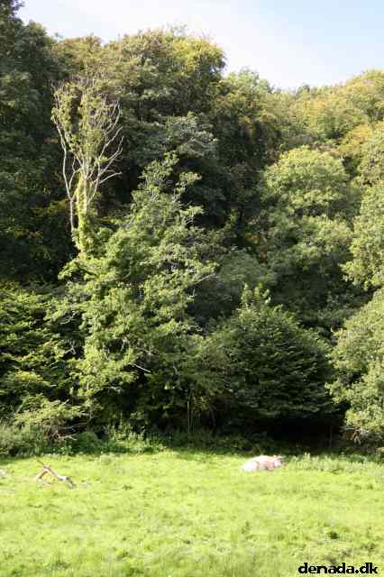 * Image 14