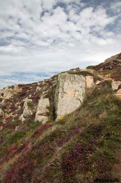 * Image 28