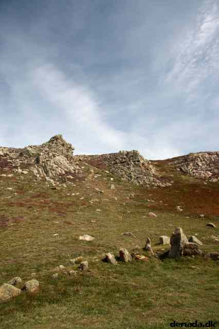 * Image 41
