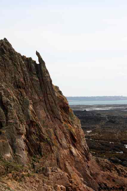 * Image 46