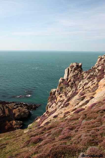 * Image 56
