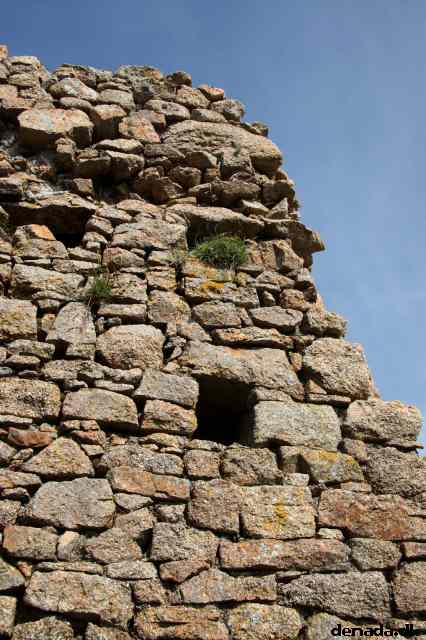 * Image 65