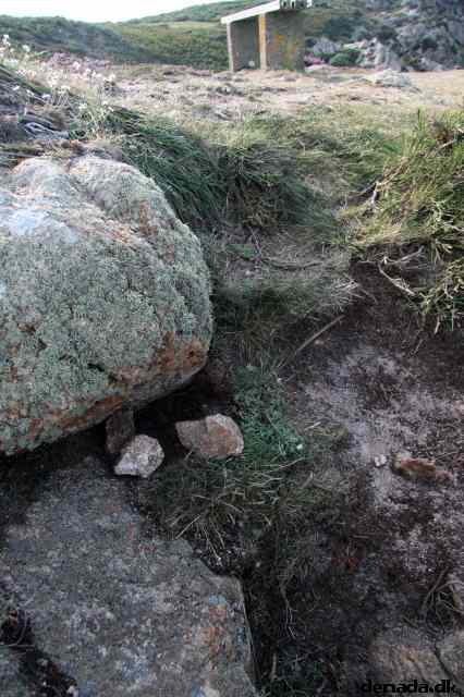 * Image 77