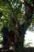 201108310376m.jpg - 2011:08:31 10:10:09