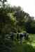 201108310386m.jpg - 2011:08:31 10:44:25
