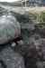 201108310511m.jpg - 2011:08:31 16:27:31