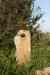 201108310558m.jpg - 2011:08:31 17:40:16