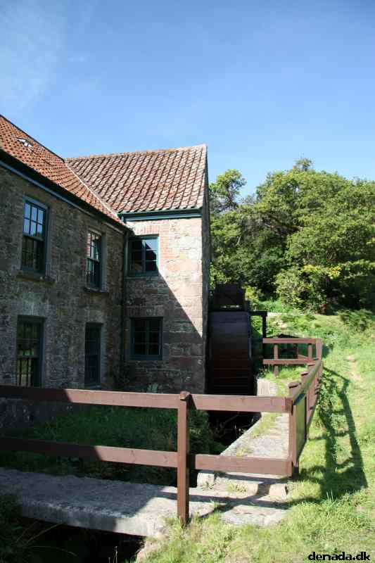 * Image 5