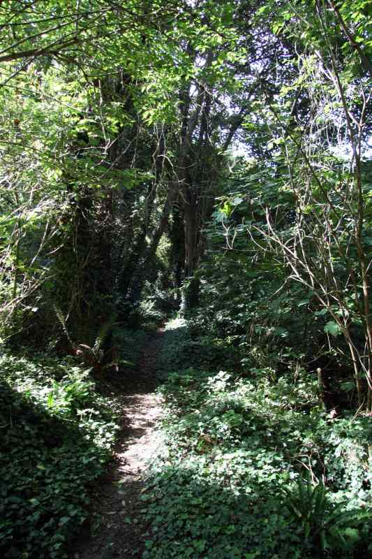 * Image 10
