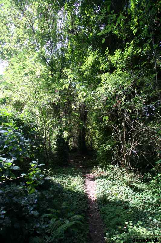 * Image 11