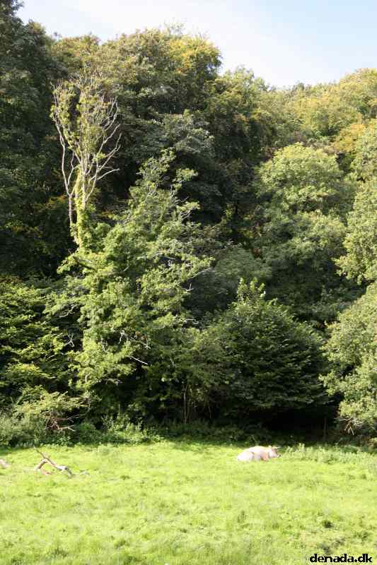 * Image 14