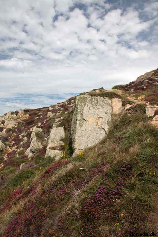 * Image 28