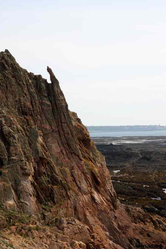 * Image 46
