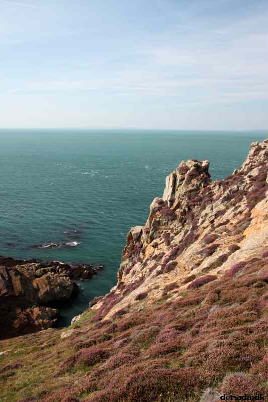 * Image 56