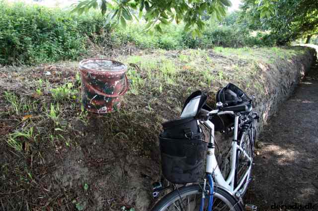 * Image 3