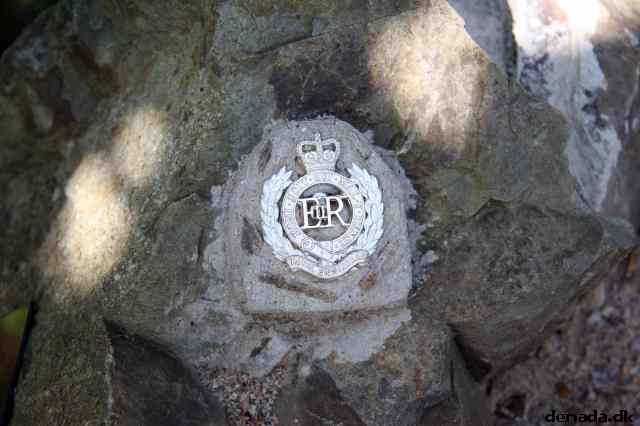 * Image 7