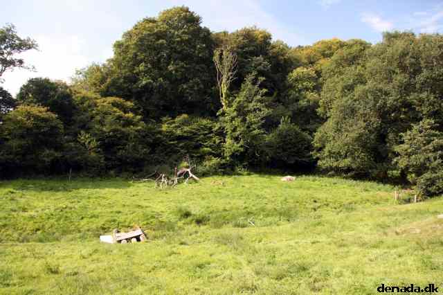 * Image 13