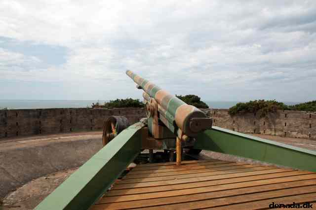 * Image 21