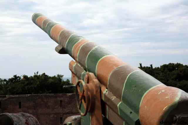* Image 22