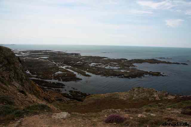 * Image 23