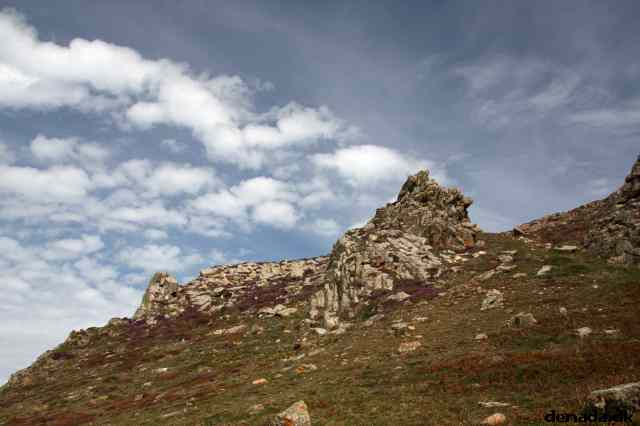 * Image 33
