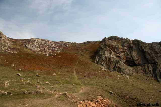 * Image 44
