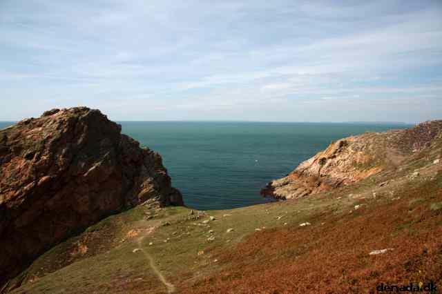 * Image 49