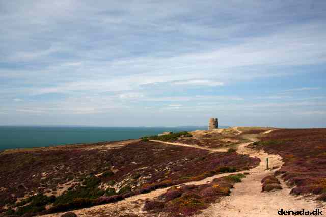 * Image 50
