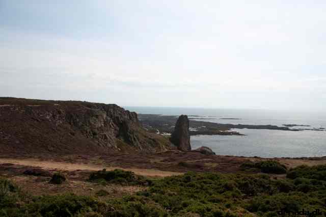 * Image 53