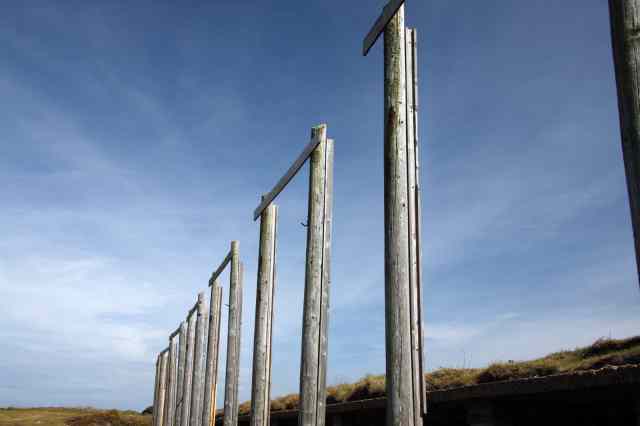 * Image 55