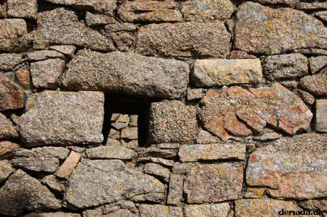* Image 64