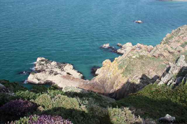 * Image 71