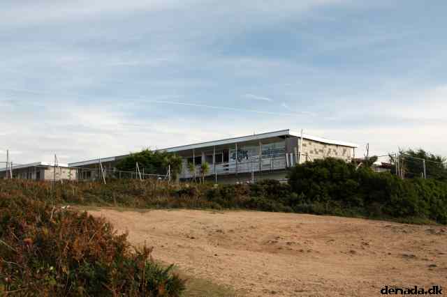 * Image 81