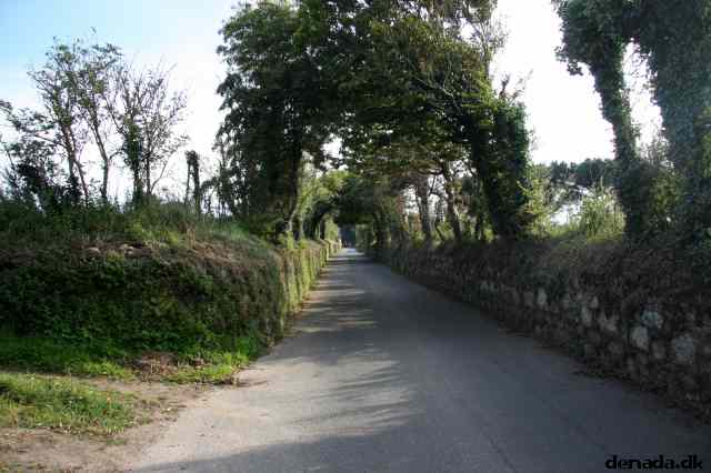 * Image 91